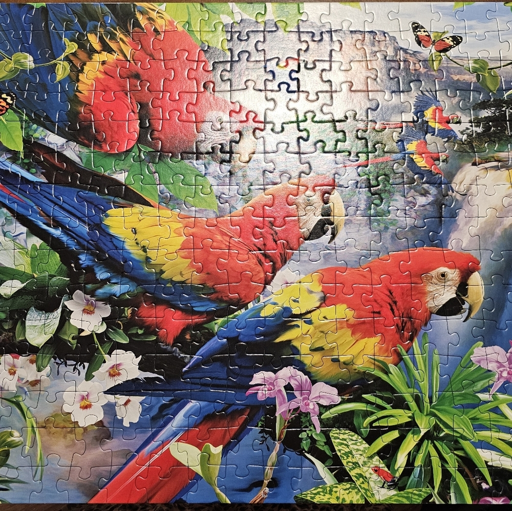 Colorful Parrot Puzzle for Bird Lovers